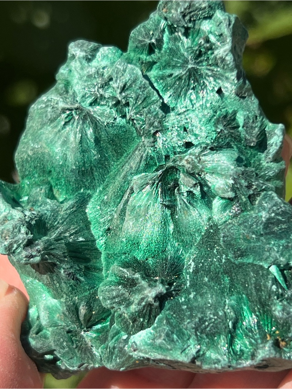 Malachite (13) specimen with stand | Crystal
